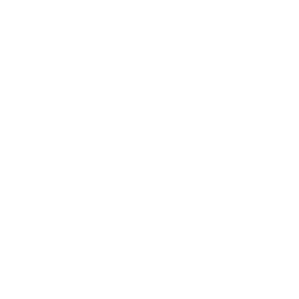 Debbie Sinani | Sinani Luxury Advisors